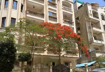 Apartments For sale in Mohamed Sabry Abu Alam St.