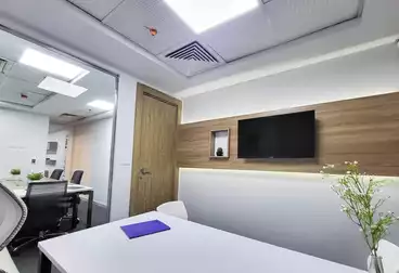 Elegant furnished office