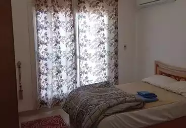 Furnished Apartment For rent in Phase 8