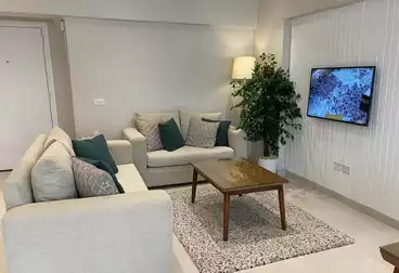 https://aqarmap.com.eg/ar/listing/5002987-for-rent-cairo-el-maadi-degla-mydn-djl