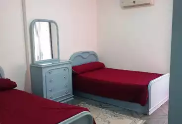 Furnished Apartment For rent 1000 per day in El Gaish Rd