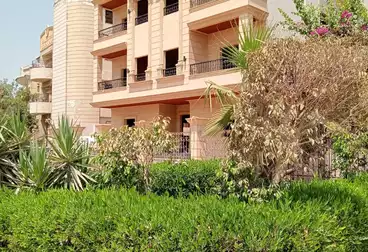 https://aqarmap.com.eg/en/listing/5033707-for-sale-cairo-new-cairo-el-narges-el-narges-1-badr-khan-ali-st