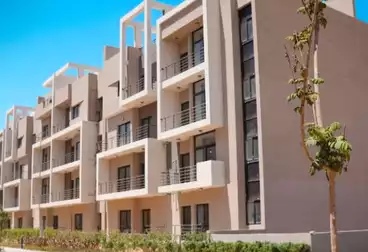 Apartments For rent in Fifth Square Compound - AlMarasem