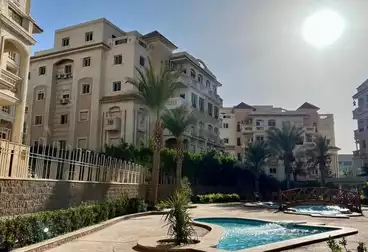 Furnished Apartment For rent in Leila Compound