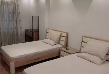 Furnished apartments for rent in Al Rehab City (New Cairo, Cairo Governorate)