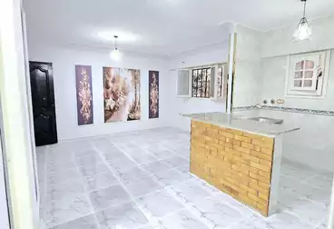 https://aqarmap.com.eg/ar/listing/5062539-for-sale-alexandria-l-jmy-shataa-el-nakheel