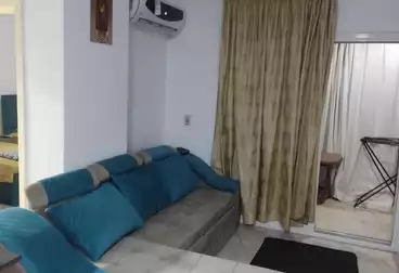 Furnished Studio for Rent in B7 at the Best Price