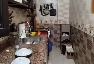 https://aqarmap.com.eg/en/listing/5077835-for-sale-alexandria-l-jmy-lbytsh-ain-shams-st