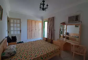 https://aqarmap.com.eg/ar/listing/5079310-for-rent-ismailia-fayed-al-sawhel-st