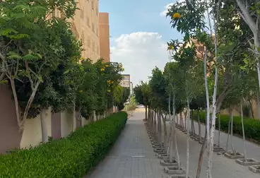 https://aqarmap.com.eg/ar/listing/5080056-for-sale-cairo-new-cairo-el-ahyaa-third-neighborhood-street-16