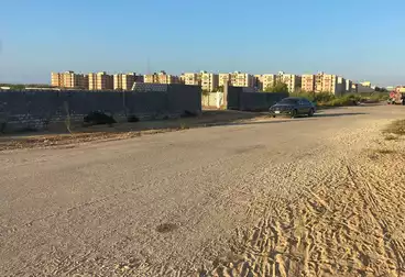 Land For sale in El Ameed