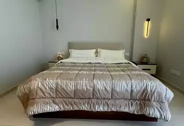 Furnished hotel apartment in Compound Eastown