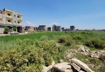 لبيع فى مدينة دمنهور ارض بناء داخل كردون. Damanhour city building land for sale