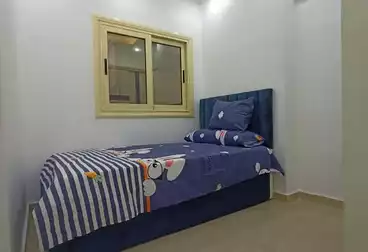 Furnished Apartment For rent in El Gaish Rd 800 per day