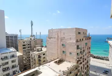 Apartments For sale in Ahmed Zou Al Fekar St.