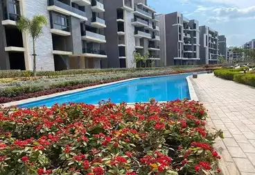 Apartments For sale in Sun Capital Compound - Arabia