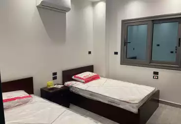 Furnished Apartment For rent in Lotus South