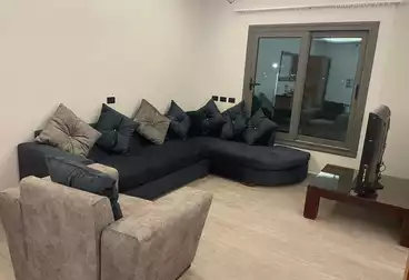 Furnished Apartment For rent in Lotus South