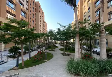 Apartments For sale in  AlMaqsad Park - AlMaqsad Residence