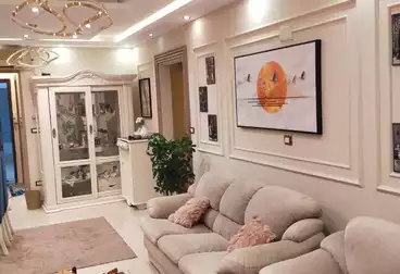 Furnished Apartment For rent in Street 233