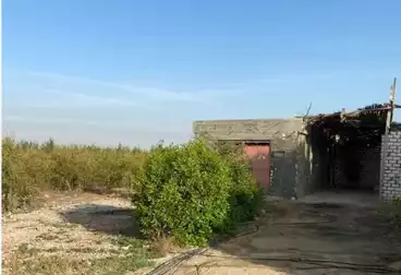 Farm For sale