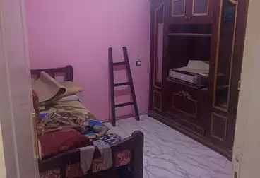 شقق للبيع - 3 غرف - بالدور 1