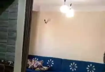 undefined undefined - 2 rooms - floor 8