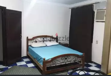 Furnished Apartment For rent - 2 rooms - floor 4