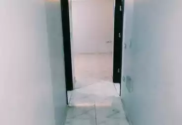Apartments For rent - 3 rooms - floor 5