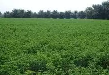 Farm For sale