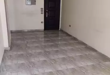 شقق للإيجار - 3 غرف - بالدور 10