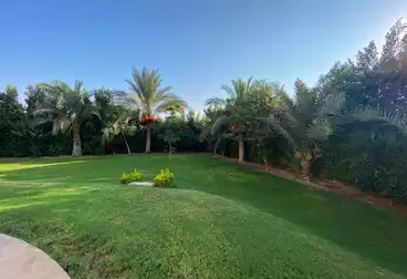 Villas For sale - 10 rooms
