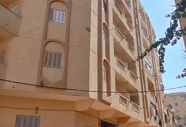 شقق للبيع - 2 غرف - بالدور 4