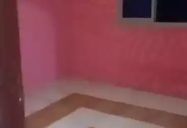 Apartments For rent - 2 rooms - floor 2
