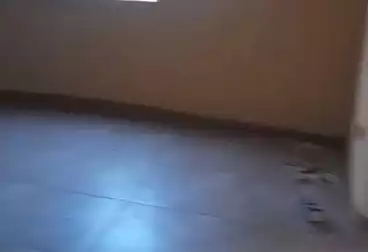 Apartments For rent - 3 rooms - floor 3