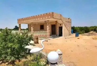 Farm For sale