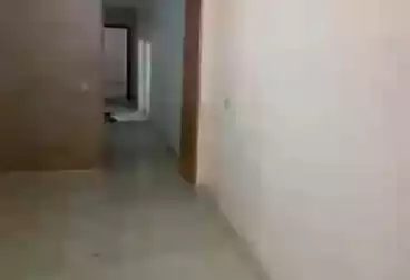 Apartments For rent - 3 rooms - floor 1