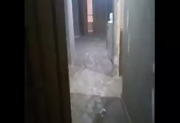 undefined undefined - 3 rooms - floor 1