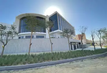مكاتب للإيجار - 3 غرف - بالدور 2