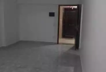 Apartments For rent - 3 rooms - floor 11