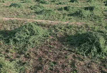 أرض زراعية للبيع