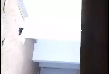 Shops For rent - floor 0