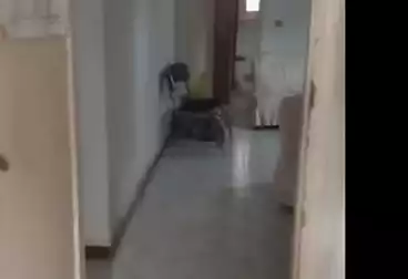 undefined undefined - 4 rooms - floor 4
