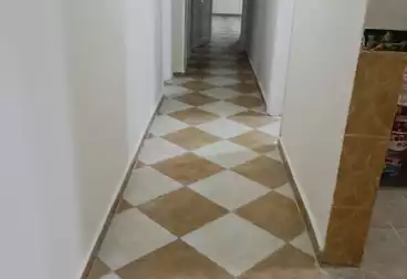 Apartments For rent - 3 rooms - floor 6