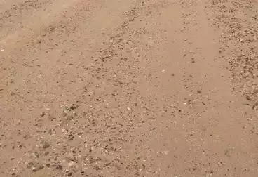 أرض زراعية للبيع