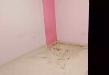 Apartments For rent - 3 rooms - floor 5