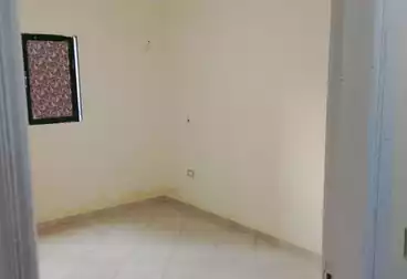 شقق للإيجار - 3 غرف - بالدور 7