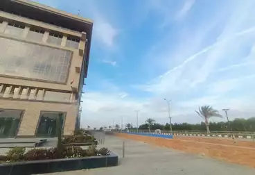 تجاري للإيجار - بالدور 0