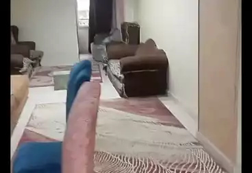Apartments For rent - 3 rooms - floor 1