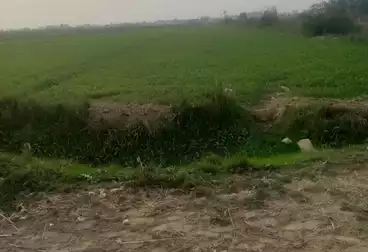 Farm For sale